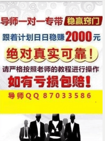 澳门天天彩精准免费资料大全,精准分析实施步骤_复古版31.631