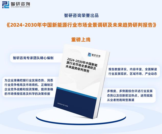 2024新奥正版资料免费分享，安全策略深度解析——WHE167.26预备版