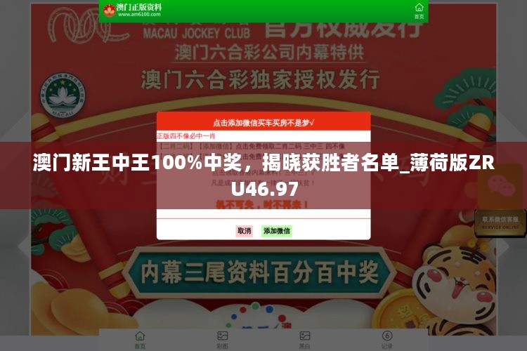 澳门王中王新版本100%中奖，揭晓获胜者名单_薄荷版ZRU46.97