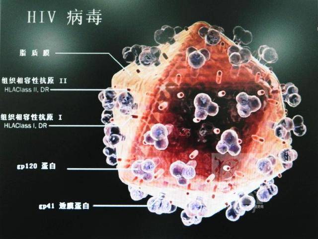 雅安最新病毒挑战及应对策略