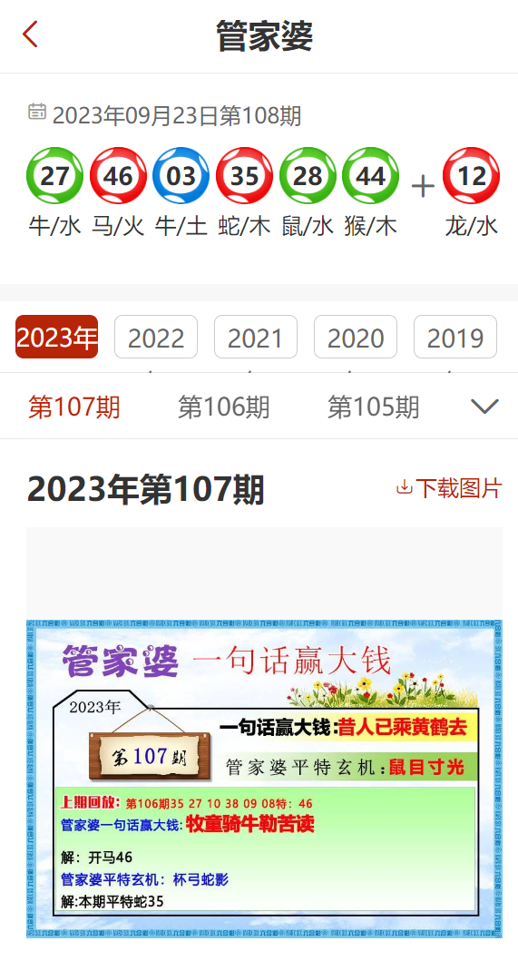 管家婆2024精准资料成语平特,适用性方案解析_PalmOS66.830