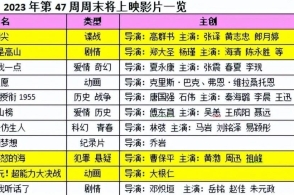 澳门一码中精准一码免费中特论坛,实地评估说明_NE版56.643