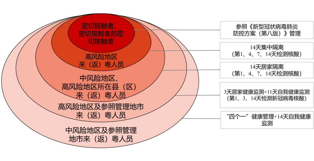 新澳2024大全正版免费,高效策略设计解析_CT82.112