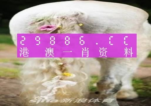 澳门一肖一码一l必开一肖,时代资料解释落实_SE版81.888