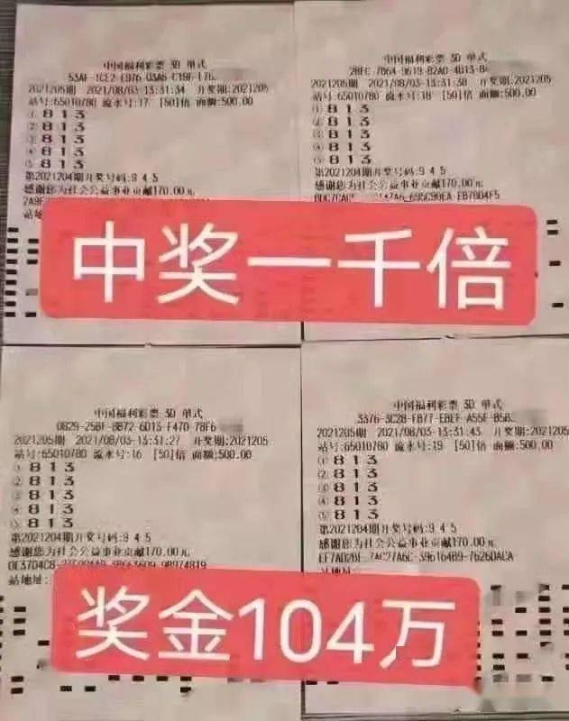 2024澳门天天开好彩大全162,准确资料解释落实_3D27.426